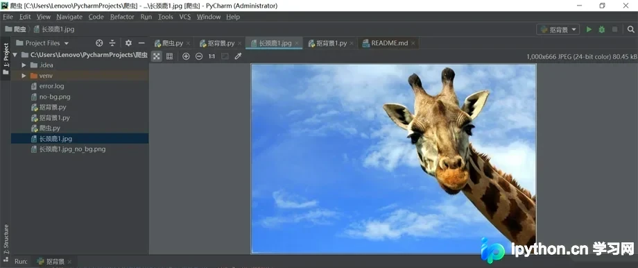 Python实现一键抠图：两种API调用方式与背景填充方案