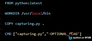 在Docker中运行Python脚本的正确步骤