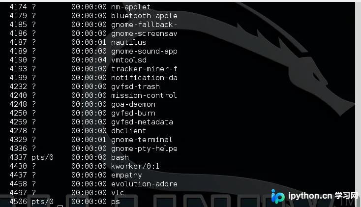 Python中终止程序的几种常用方法详解
