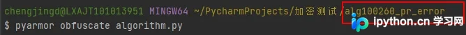 Python算法加密：PyArmor与Docker结合实践