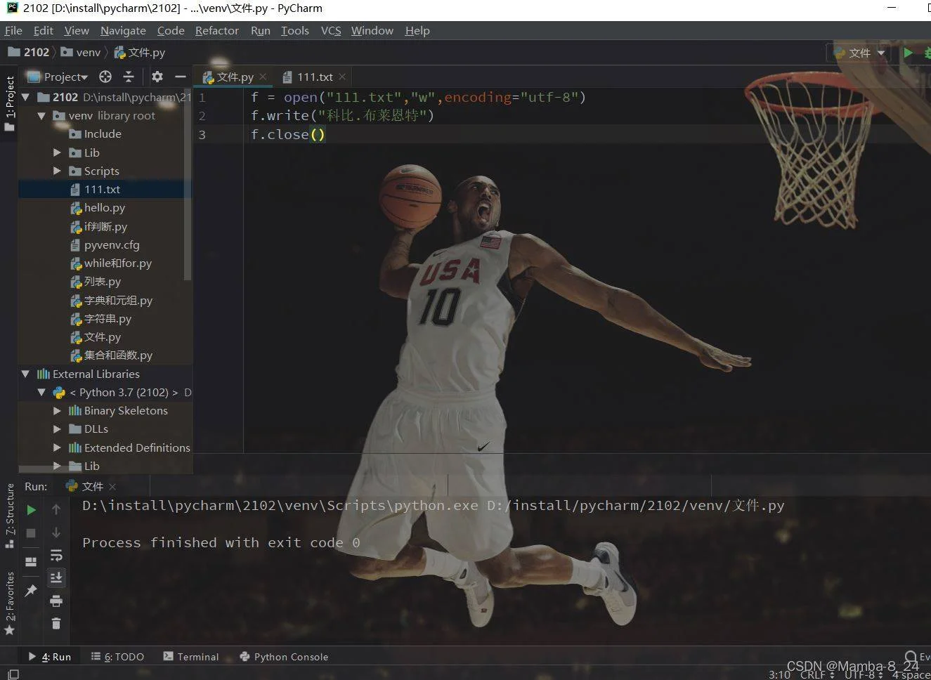 Python文件操作与异常处理完全指南