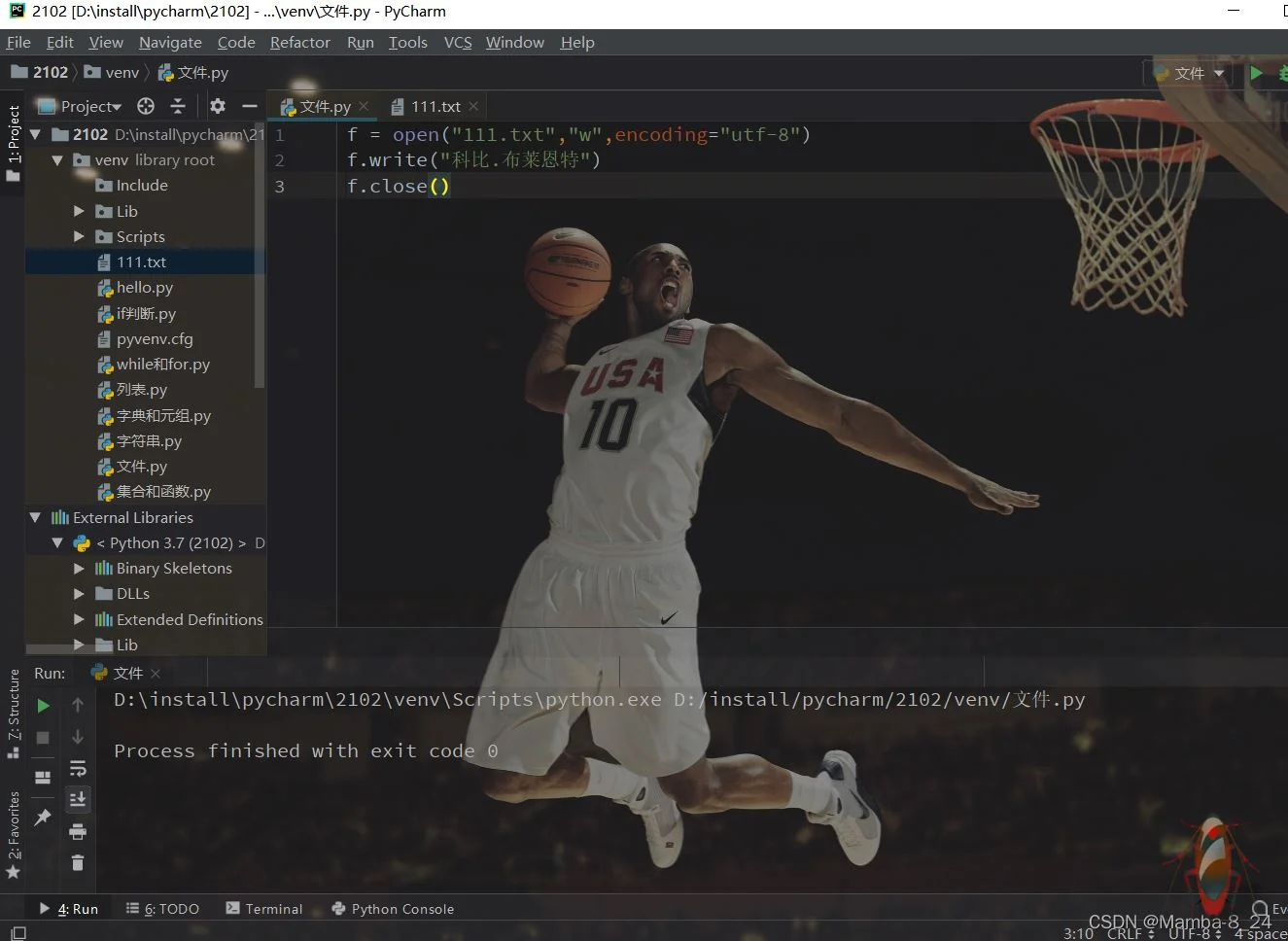 Python文件操作与异常处理完整指南