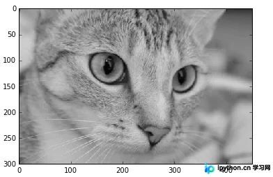 Python数字图像处理:像素访问与裁剪实战