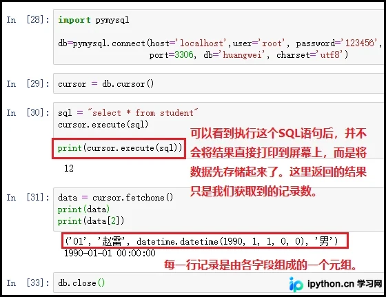 Python操作MySQL数据库完整指南：连接、游标与增删改查