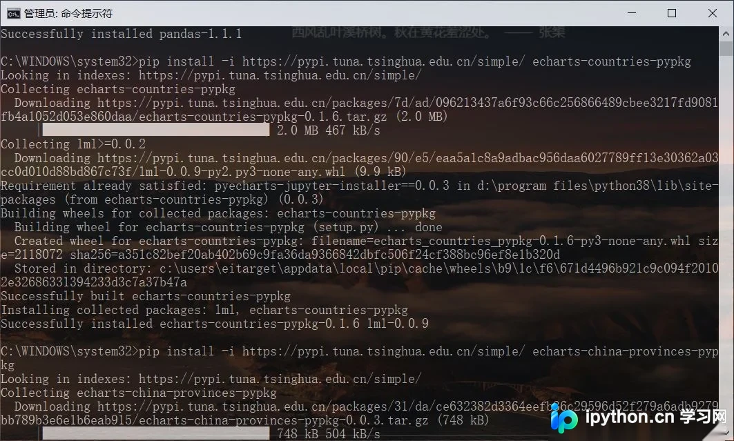 Python数据可视化实战：pyecharts与pandas结合使用详解
