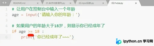 Python if-else 语法详解：条件分支与常见错误