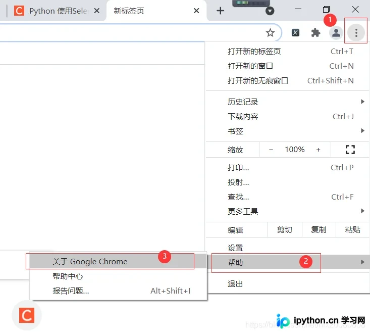 Python 安装 Selenium 完整指南：环境配置与 WebDriver 下载