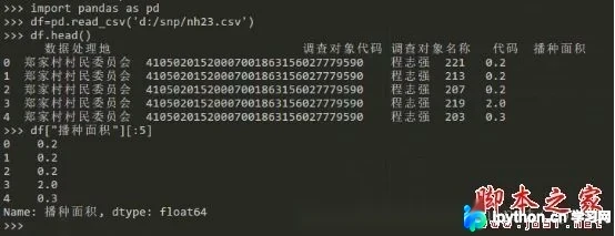 Python使用Pandas高效处理百万行CSV数据实战