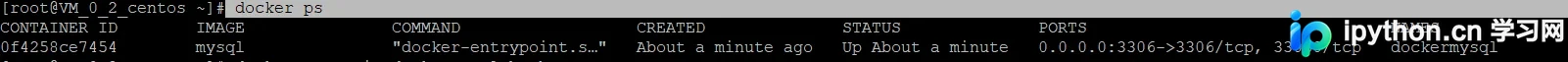 Docker安装MySQL 8并配置远程连接与解决2059错误