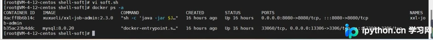 Docker部署MySQL 8实现数据持久化与远程访问