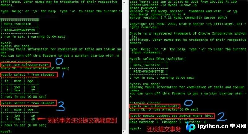 MySQL事务隔离级别详解:原理、幻读辨析与实操验证