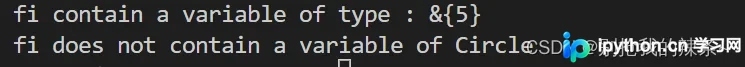 Golang接口类型断言与Type-Switch实战指南