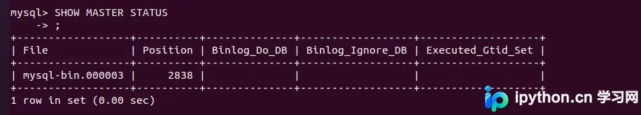 Docker部署MySQL8主从复制完整指南