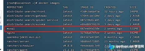 Docker部署MySQL 8的详细步骤与配置