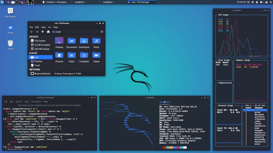Kali Linux 界面截图 3