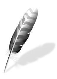 Wing 101
