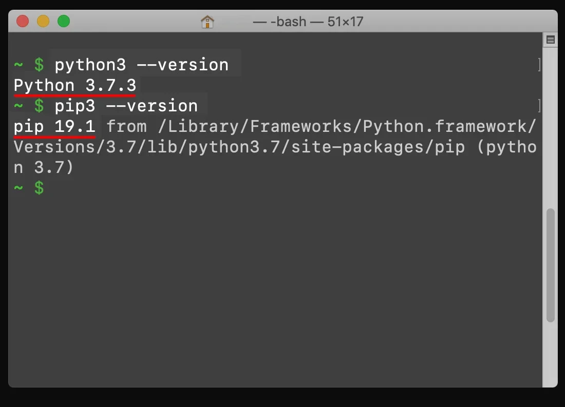 展示终端中执行python --version和pip --version命令并返回版本信息的真实操作界面，同时体现PyPI包索引页面。