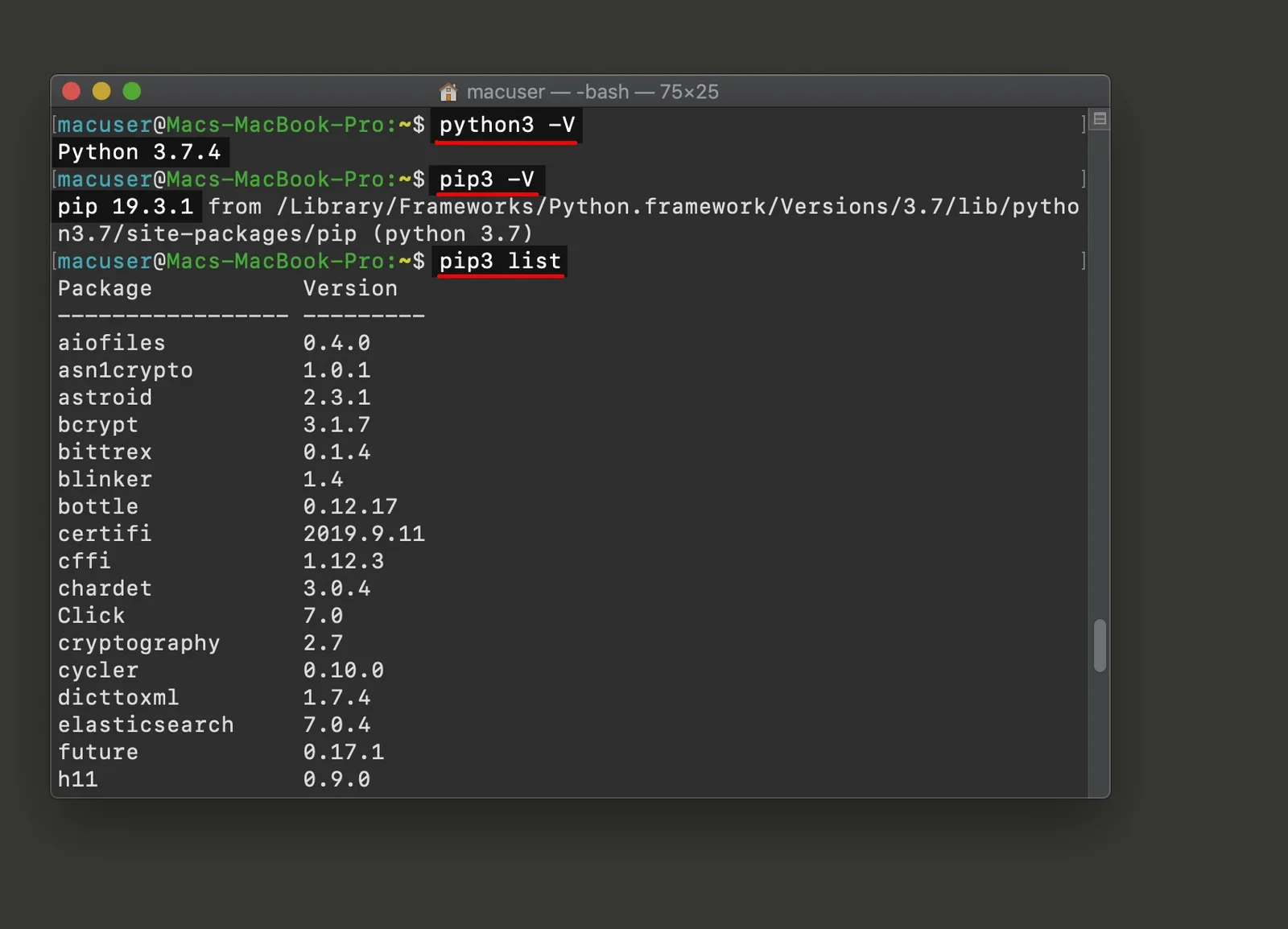 展示终端使用pip show、pip list和指定版本安装命令查看Python包名称、版本及安装位置的真实界面。