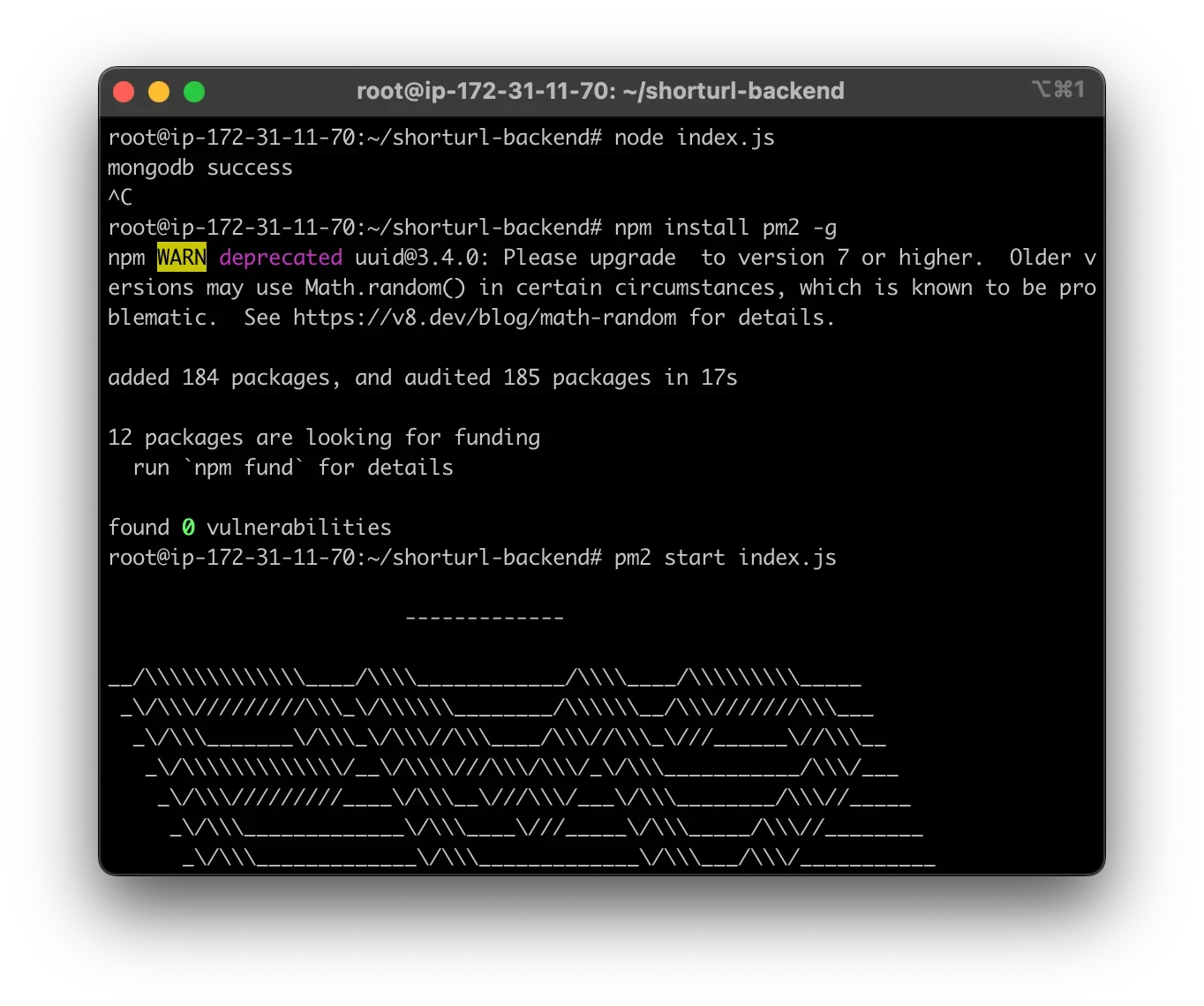 展示真实终端中前端npm build构建、后端依赖安装、服务启动日志、进程管理工具和应用运行状态。