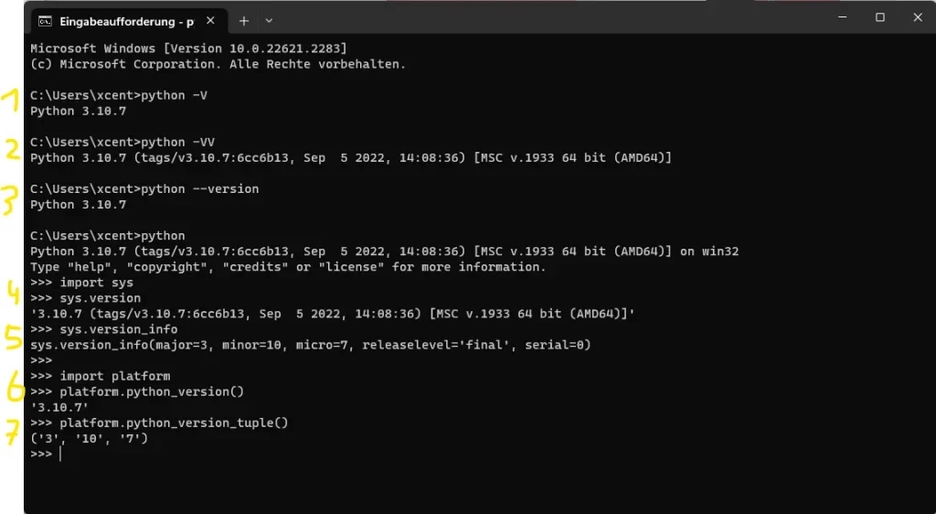 展示Python交互式环境中导入sys并执行sys.version、sys.version_info后的真实代码与输出。