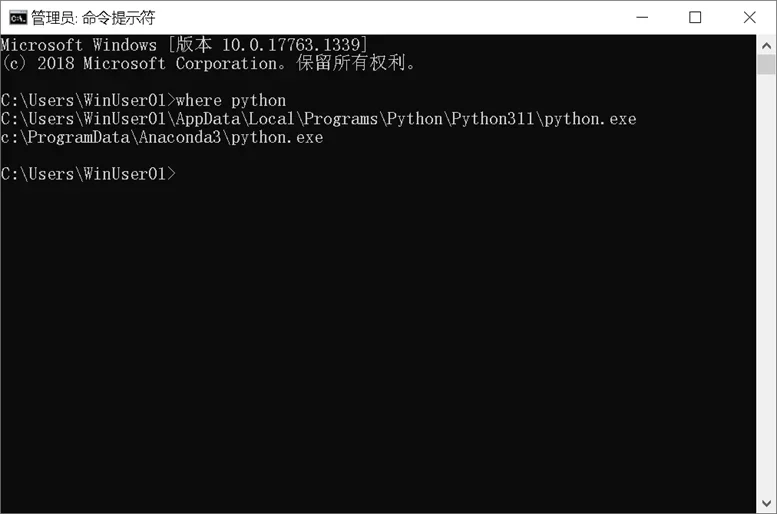 展示Windows或macOS/Linux终端中使用where python或which python查看Python解释器路径，并与版本信息对应验证的真实场景。