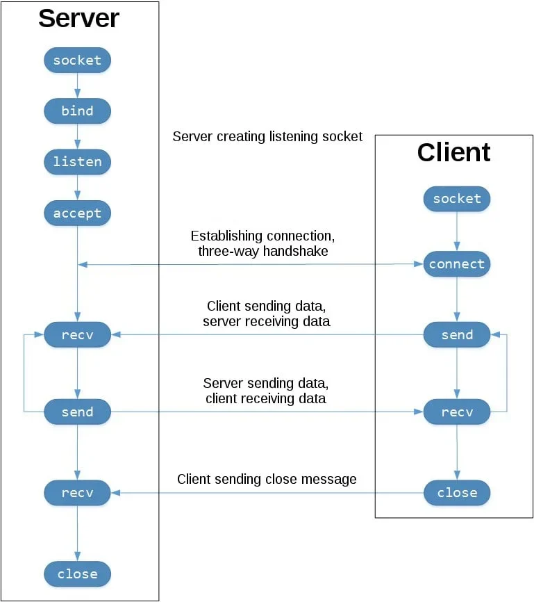 展示Python官方Socket文档页面与客户端、服务端通过Socket建立网络连接的示意场景,突出Socket作为通信接口的作用。