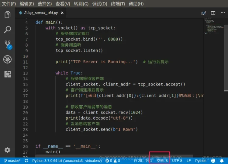 展示Python代码编辑器中完整的Socket客户端和服务端核心代码,清晰体现创建Socket、绑定端口、监听、连接、收发数据和关闭连接的流程。