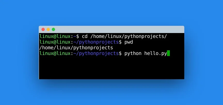 展示Python项目文件夹、源代码、终端运行成功结果的真实场景,体现文件命名和运行路径检查。