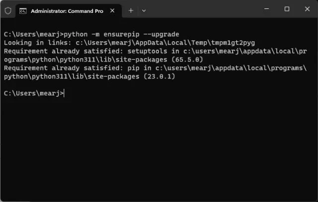 展示Windows终端中运行python -m ensurepip相关命令的真实操作界面，突出安装pip的命令与执行结果。