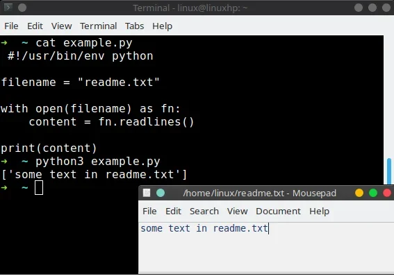 展示Python脚本编辑、终端运行命令以及自动生成或整理文件的连续真实界面,突出从代码到结果的过程。