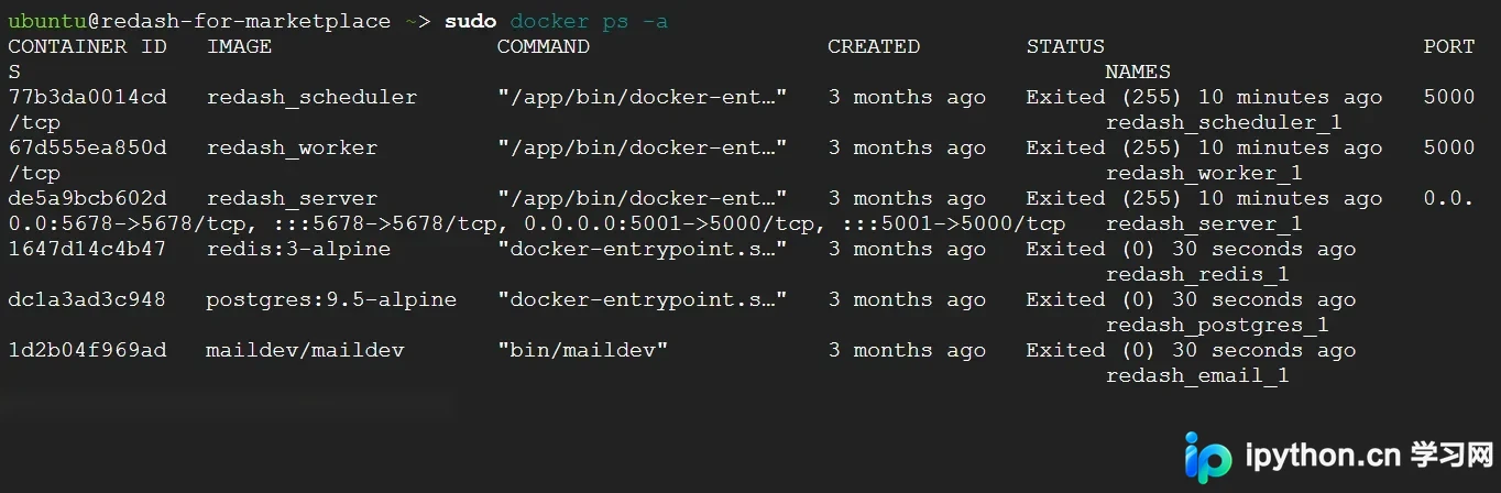 展示真实终端中Docker容器列表、Exited/Restarting状态、镜像列表以及典型错误提示。