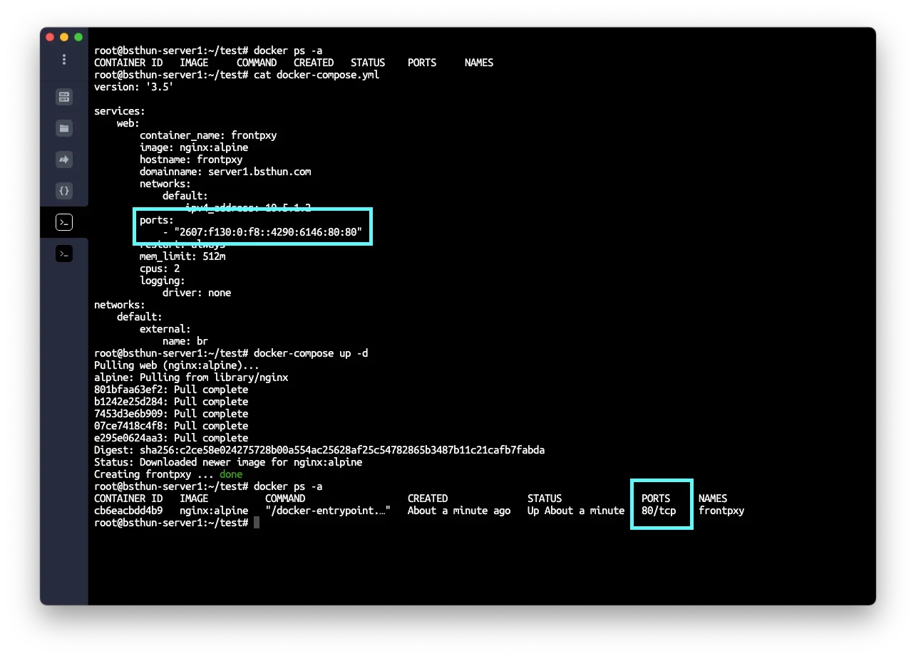 展示Docker网络、端口映射、Volume挂载和容器间通信的真实终端操作与检查结果。