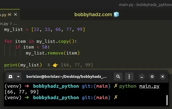 展示真实 Python 代码编辑器与终端报错或输出结果，直观呈现修改遍历、浅拷贝和嵌套可变对象导致的问题及修正后的结果。