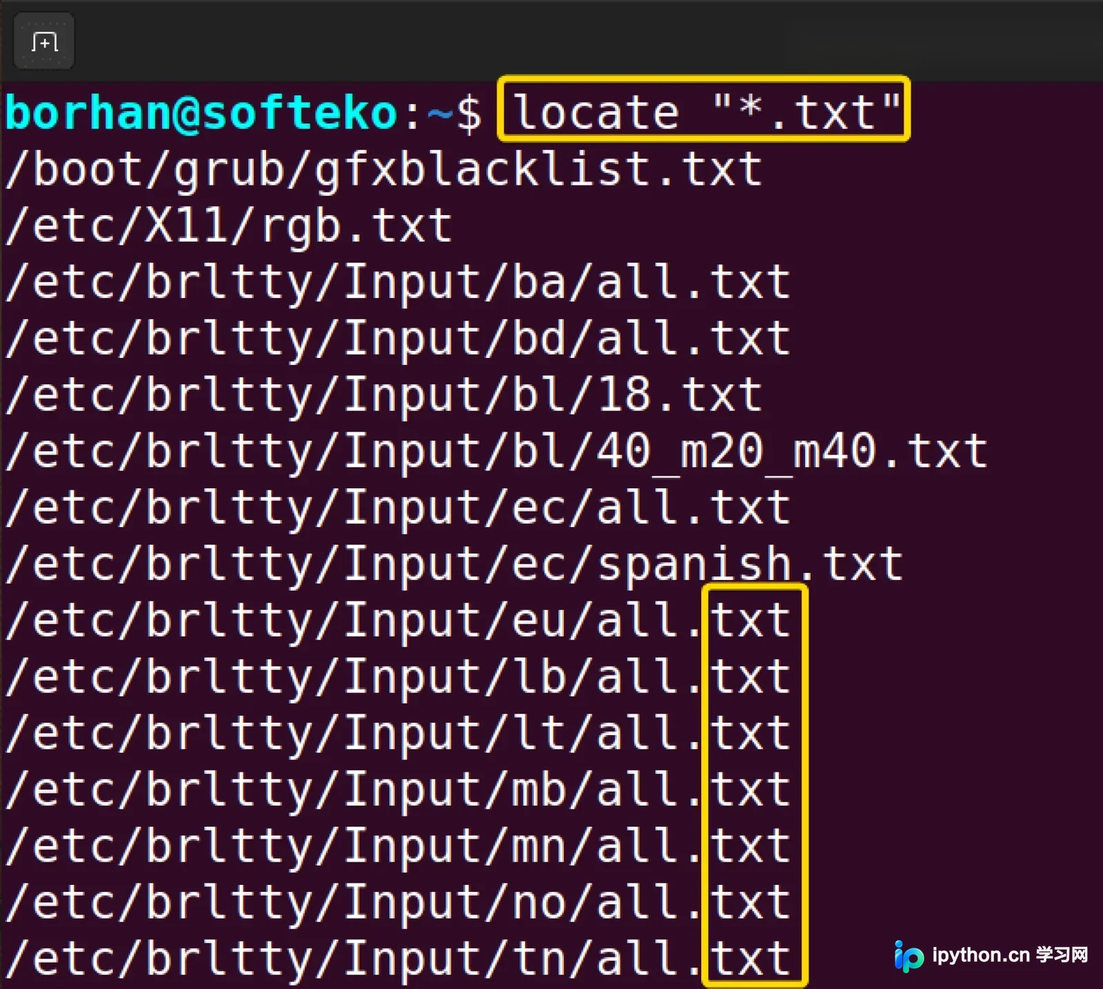 展示真实Linux Shell终端中的find和locate实际命令、参数与查询结果，突出两者操作方式差异。