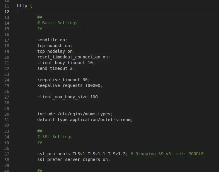 该节需要一张真实的 Nginx 配置文件或终端截图,展示 keepalive_timeout、keepalive_requests 的典型配置位置。
