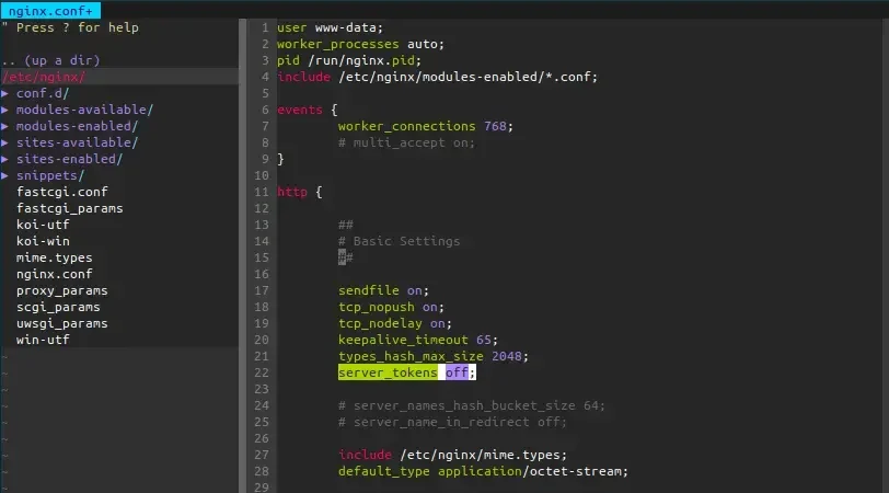 该节需要真实的 Nginx 配置编辑界面或服务器终端操作截图,体现参数修改过程。