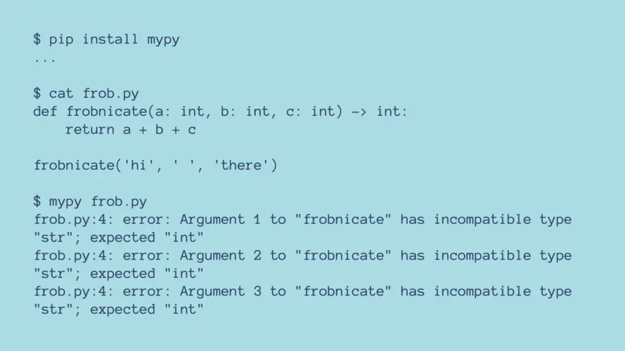 展示真实Python项目中使用mypy检查带类型注解代码的开发环境或终端输出，体现类型错误与检查结果。