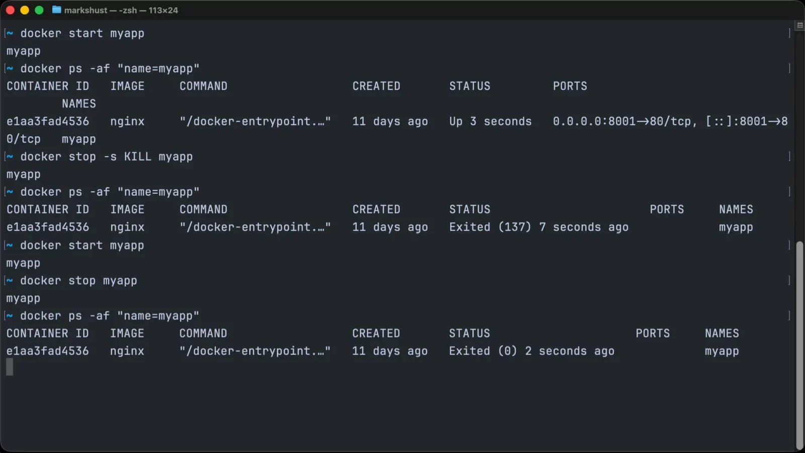 展示真实终端中执行 Docker checkpoint 命令、查看运行中容器和 checkpoint 操作结果的画面。