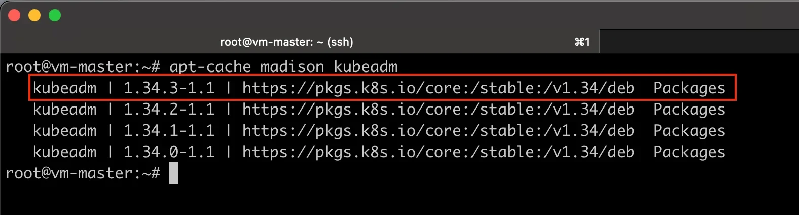 真实的 Kubernetes 集群升级前检查界面或终端检查场景,能体现节点状态、版本信息和备份准备。