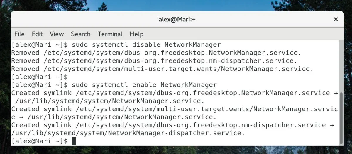 需要一张真实 Linux 终端操作截图，展示 enable、disable 及相关命令的实际执行结果。