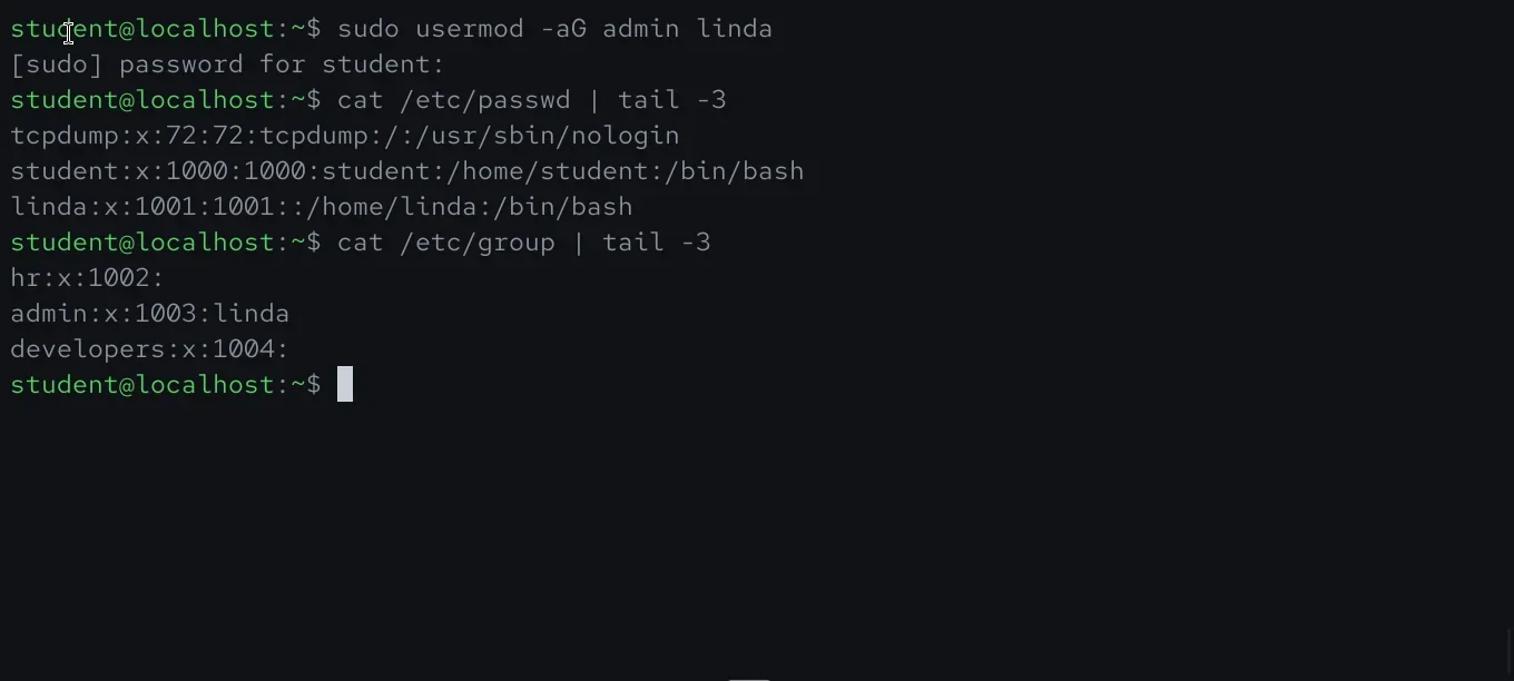 展示Linux终端中使用usermod修改用户组和Shell的真实操作截图