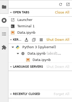 展示 JupyterLab 设置编辑器、终端命令与运行中内核面板的组合场景，突出配置验证流程