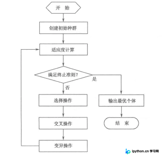 Python实现遗传算法图像拟合:从原理到完整代码