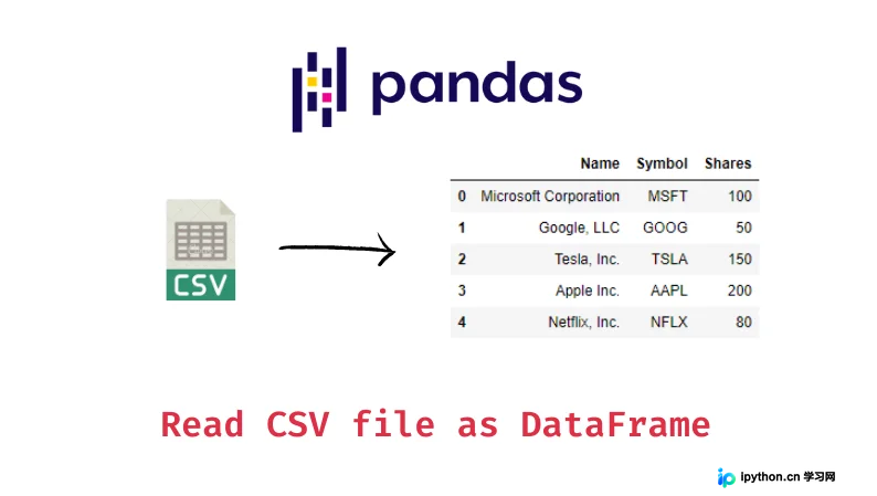Python CSV文件读写全指南：从内置csv库到Pandas实战
